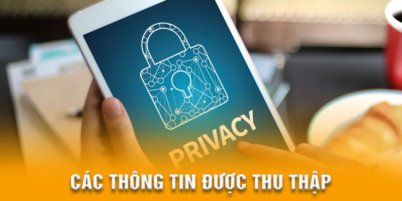 Nhà cái thu thập dữ liệu khi bạn đăng ký