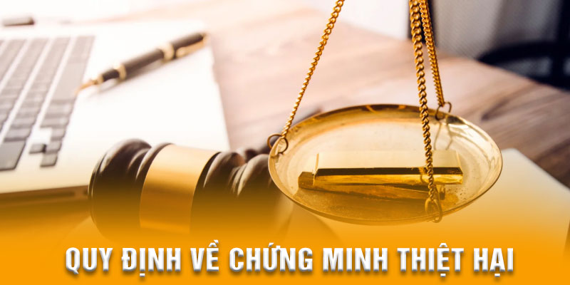Người cần cần chứng minh để được miễn trừ trách nhiệm
